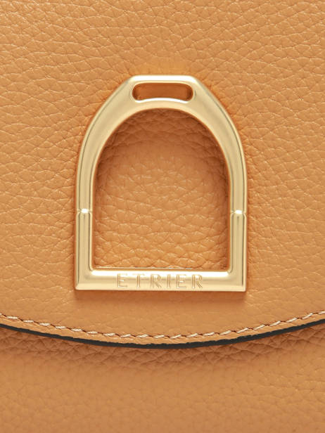 Shoulder Strap Crossbody Bag Shadow Leather Etrier Yellow shadow ESHA163S other view 6